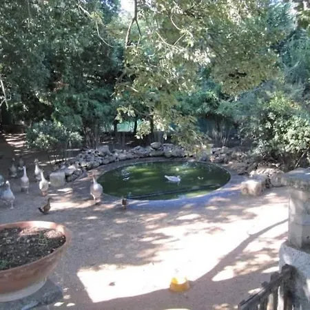 Holiday home Parco Delle Streghe Scarlino